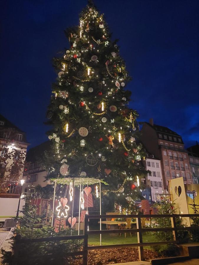 Porte De France Strasbourg Kültér fotó